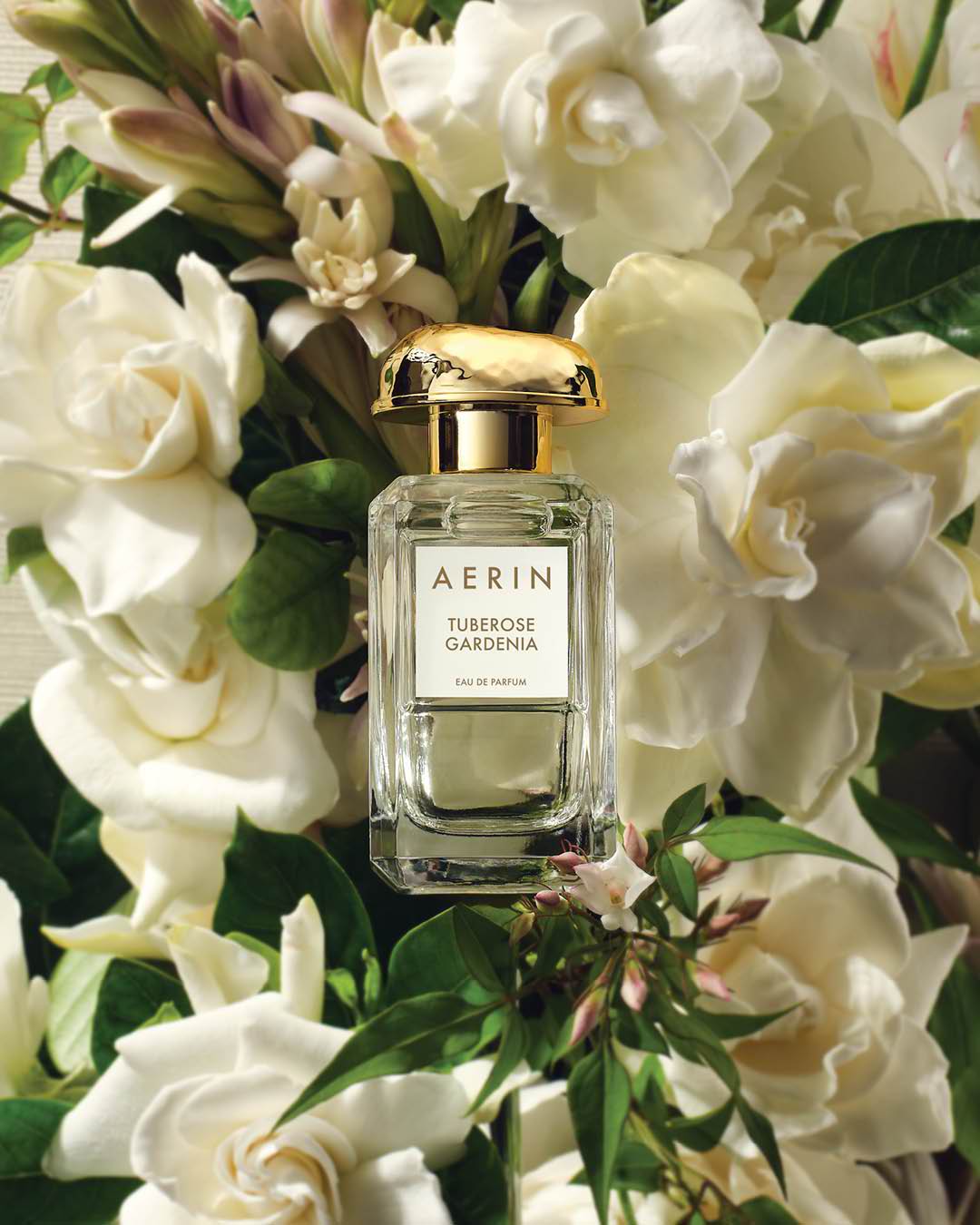 네비게이션 에어린